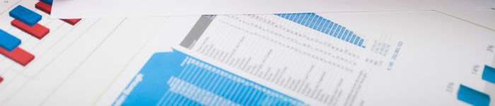 CORPORATE INFO CORPORATE INFO